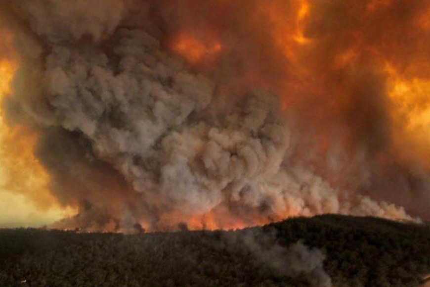 Лесные пожары в Иерусалиме парализовали движение