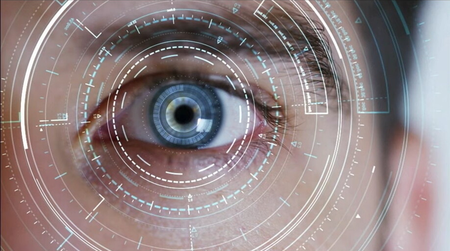 Супермаркеты "Виктори" для увеличения продаж используют нейромаркетинговые камеры