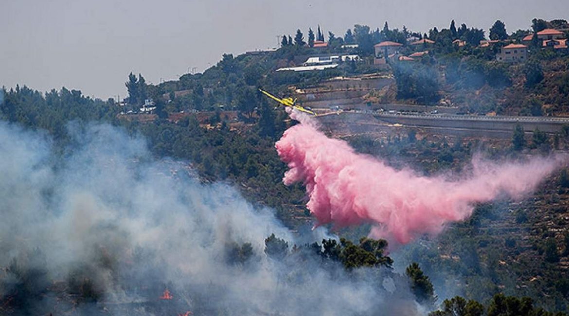 Нехватка CanadAir в пожарной авиации Израиля повлекло гибели 5 тыс.га леса под Иерусалимом